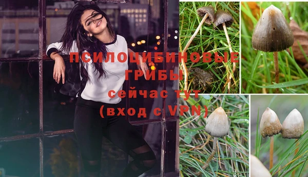 твердый Лихославль