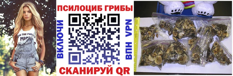 Галлюциногенные грибы Cubensis  Купить  Покровск 